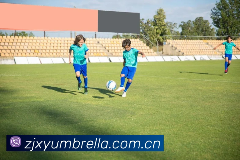fifa2026世界杯官网首页平台生态图